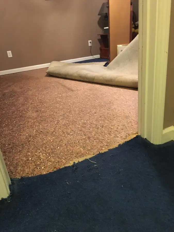 Carpet pad removal revealing water damage during Drying & Dehumidification in West Boylston