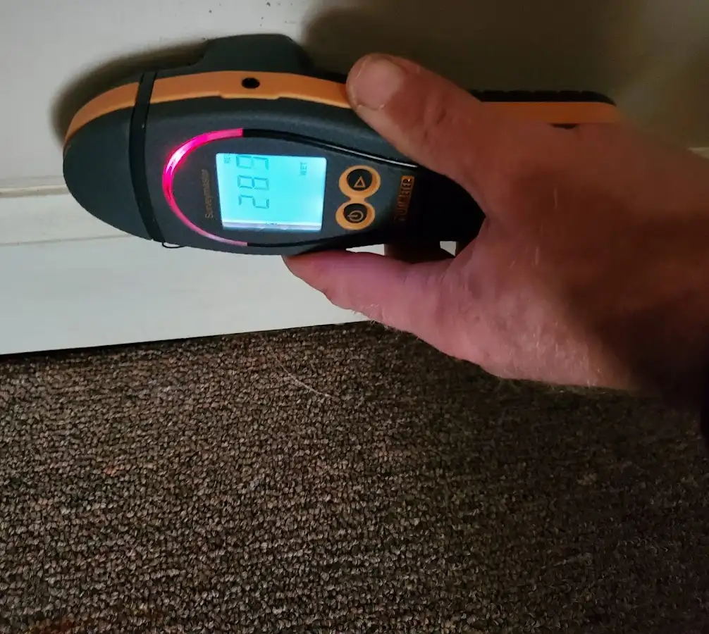 Moisture detection at baseboard during Sewage Cleanup & Sanitation in West Boylston